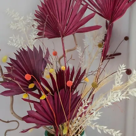 Luxury House Empire 96 公寓 *